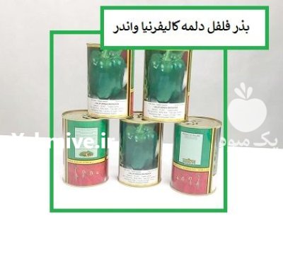 فروش بذر فلفل دلمه کالیفرنیا و اندر در اهواز در گروه خرید و فروش بذر فلفل در یکمیوه -عکس1