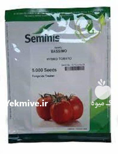 توزیع بذر گوجه باسیمو در سرگز در گروه خرید و فروش بذر گوجه در یکمیوه -عکس1