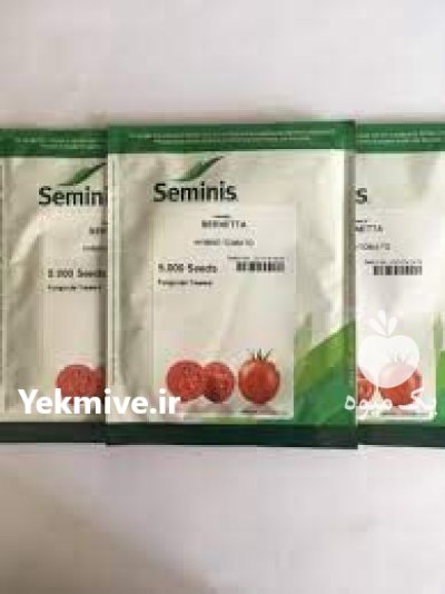 بذر گوجه برنتا BERNETA F 1 در هندودر در گروه خرید و فروش انواع بذر در یکمیوه -عکس2