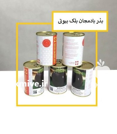 فروش بذر بادمجان بلک بیوتی پاپ در اهواز در گروه خرید و فروش بذر بادمجان در یکمیوه -عکس1