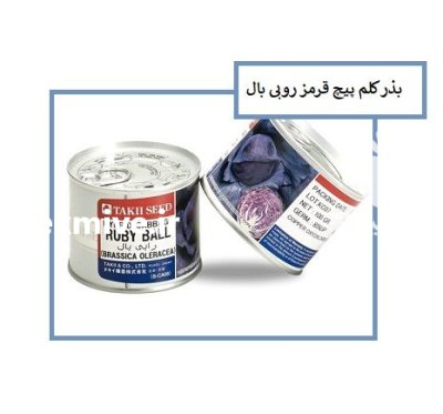 بذر کلم پیچ قرمز روبی بال در اهواز در گروه خرید و فروش بذر صیفی جات در یکمیوه -عکس1