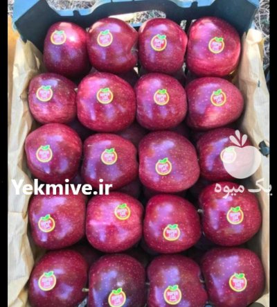 فروش سیب زرد و قرمز میانه در گروه خرید و فروش سیب در یکمیوه -عکس2