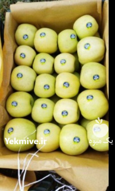 فروش سیب زرد و قرمز میانه در گروه خرید و فروش سیب در یکمیوه -عکس1
