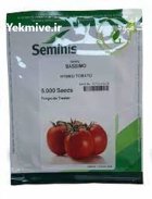 توزیع بذر گوجه باسیمو در سرگز در گروه خرید و فروش بذر گوجه در یکمیوه