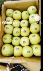 فروش سیب زرد و قرمز میانه در گروه خرید و فروش سیب در یکمیوه