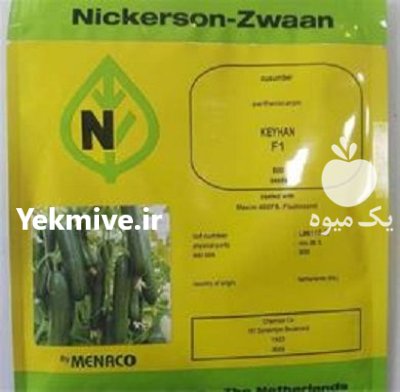 بذر خیار گلخانه ای کیهان در اصفهان در گروه خرید و فروش بذر خیار در یکمیوه -عکس1