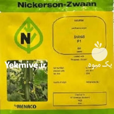 بذر خیار گلخانه ای شهاب نیکرسون در گوهران در گروه خرید و فروش بذر خیار در یکمیوه -عکس1