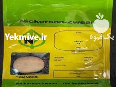 بذر خربزه گالیای آریانا در زهک در گروه خرید و فروش بذر خربزه در یکمیوه -عکس1