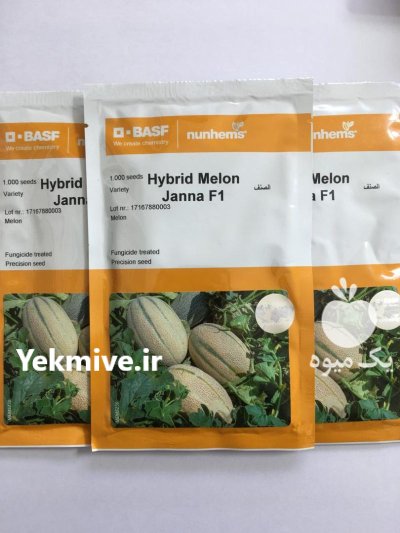 فروش بذر خربزه جانا در محمدیار در گروه خرید و فروش بذر خربزه در یکمیوه -عکس1