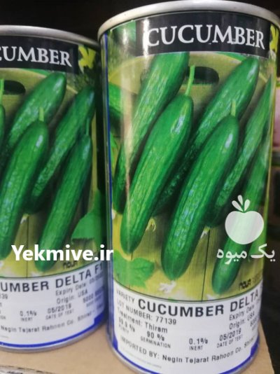 فروش بذر خیار دلتا در گروه خرید و فروش بذر خیار در یکمیوه -عکس1