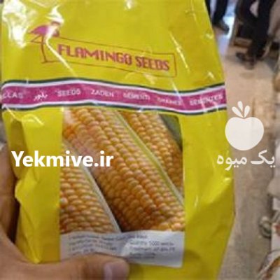 بذر ذرت سمیرا اصل در بندرماهشهر در گروه خرید و فروش بذر ذرت در یکمیوه -عکس1