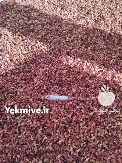 دانه انار خشک تازه در میبد در یزد در گروه خرید و فروش انار در یکمیوه -عکس1