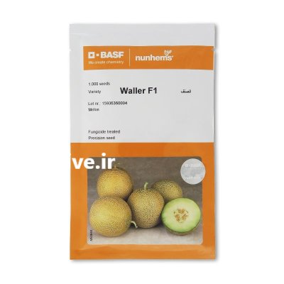 فروش بذر خربزه والر در خمیر در گروه خرید و فروش بذر خربزه در یکمیوه -عکس1