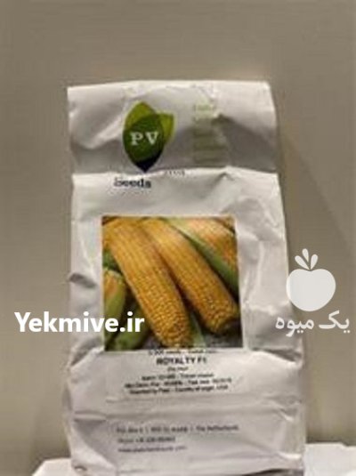 بذر ذرت شیرین آمیلا در گروه خرید و فروش ذرت در یکمیوه -عکس1