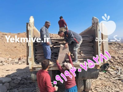 قیمت فروش سنگ لاشه سنگ مالون در گروه سازنده در یکمیوه -عکس4