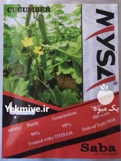 بهترین بذر خیار بذر خیار سبا در گروه خرید و فروش بذر خیار در یکمیوه -عکس1