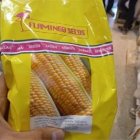 بذر ذرت سمیرا اصل در بندرماهشهر در گروه خرید و فروش بذر ذرت در یکمیوه