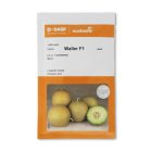 بذر خربزه ملون والر در گروه خرید و فروش بذر خربزه در یکمیوه