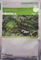 بذر هندوانه کاریستان در گروه خرید و فروش بذر هندوانه در یکمیوه