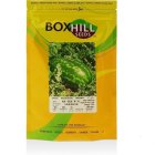 خرید بذر هندوانه بی 52.52 در قشم در گروه خرید و فروش بذر هندوانه در یکمیوه