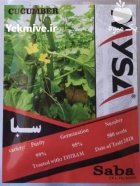 بهترین بذر خیار بذر خیار سبا در گروه خرید و فروش بذر خیار در یکمیوه