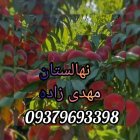 فروش گردو کانادایی کاشت نهال احداث در داران  در گروه خرید و فروش گردو در یکمیوه