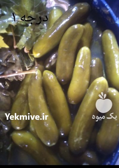 حلب خیارشور و شیشه خیارشور در شیراز در گروه محصولات ترشی در یکمیوه -عکس1