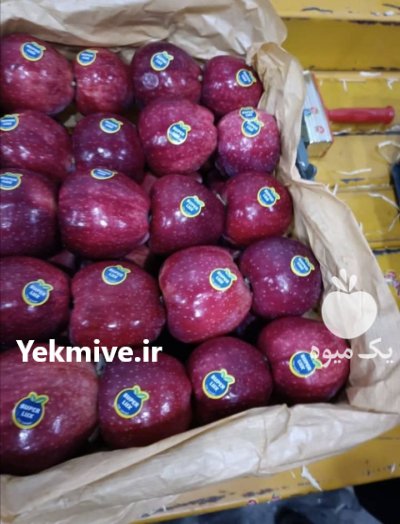 سیب قرمز درجه یک پیرانشهر در آذربایجان غربی در گروه خرید و فروش سیب در یکمیوه -عکس2