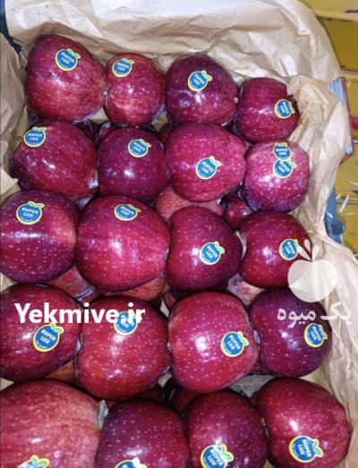 سیب قرمز درجه یک پیرانشهر در آذربایجان غربی در گروه خرید و فروش سیب در یکمیوه -عکس1