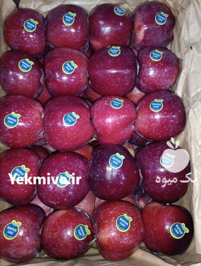 سیب قرمز درجه یک پیرانشهر در آذربایجان غربی در گروه خرید و فروش سیب در یکمیوه -عکس3