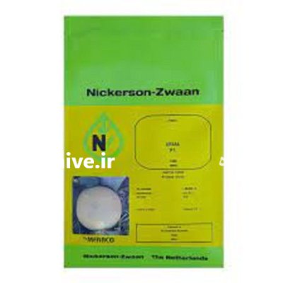 بذر خربزه آریانا در گروه خرید و فروش بذر خربزه در یکمیوه -عکس1