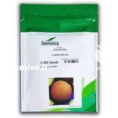 بذر خربزه ملون پلی نیکا در گروه خرید و فروش بذر خربزه در یکمیوه -عکس1