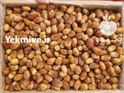 خرمای زاهدی فارس در گروه خرید و فروش خرما در یکمیوه -عکس3