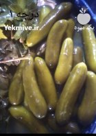 حلب خیارشور و شیشه خیارشور در شیراز در گروه محصولات ترشی در یکمیوه