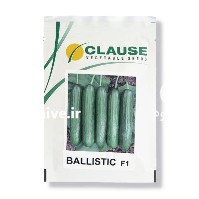 بذر خیار گلخانه ای بالستیک کلوز در گروه خرید و فروش بذر خیار در یکمیوه -عکس1