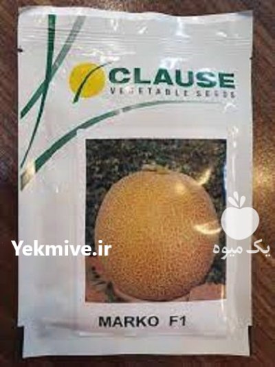 فروش بذر خربزه مارکو اصل در ایج  در گروه خرید و فروش بذر خربزه در یکمیوه -عکس1