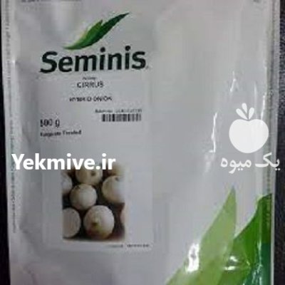 بذر پیاز سفید سایروس سمینیس آمریکا در نوبران در گروه خرید و فروش بذر پیاز در یکمیوه -عکس1