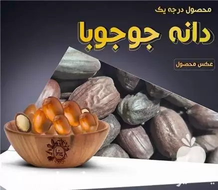 فروش دانه جوجوبا در گروه خرید و فروش گیاهان دارویی در یکمیوه -عکس1