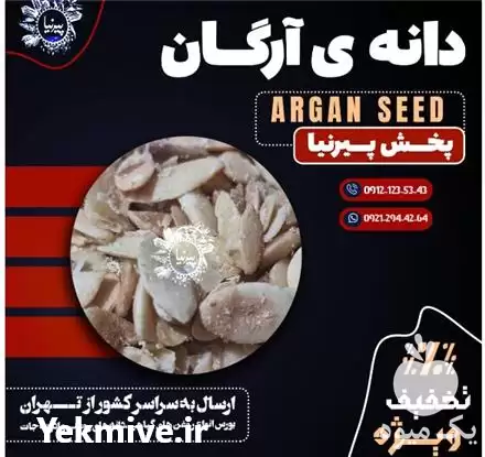 قیمت خرید دانه آرگان در گروه خرید و فروش دانه های روغنی در یکمیوه -عکس1