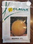 فروش بذر خربزه مارکو اصل در ایج  در گروه خرید و فروش بذر خربزه در یکمیوه