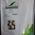 بذر پیاز سفید سایروس سمینیس آمریکا در نوبران در گروه خرید و فروش بذر پیاز در یکمیوه