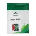 بذر هندوانه بی 32.32 در گروه خرید و فروش بذر هندوانه در یکمیوه