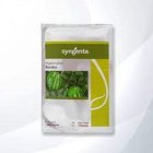 بذر هندوانه باراکا در کرمان در گروه خرید و فروش بذر هندوانه در یکمیوه