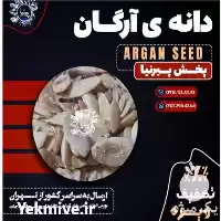 قیمت خرید دانه آرگان در گروه خرید و فروش دانه های روغنی در یکمیوه