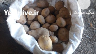 فروش سیب زمینی جلی در ازنا در گروه خرید و فروش سیب زمینی در یکمیوه -عکس1