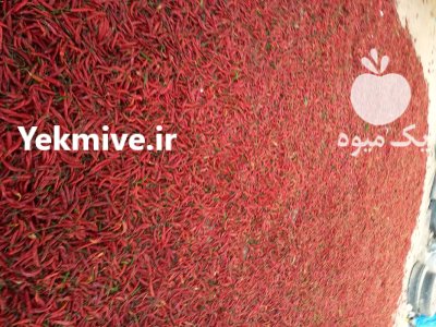 فلفل قرمز خشک در شیراز در گروه خرید و فروش فلفل در یکمیوه -عکس2