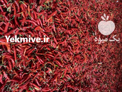فلفل قرمز خشک در شیراز در گروه خرید و فروش فلفل در یکمیوه -عکس3