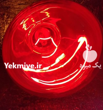 لامپ حرارتی مستقیم در اصفهان در گروه خرید و فروش لامپ رشد در یکمیوه -عکس1