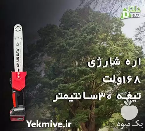 قیمت خرید اره زنجیری شارژی 30 سانت 168 و لت در تهران در گروه خرید و فروش اره برقی در یکمیوه -عکس1