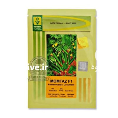 بذر خیار ممتاز در تهران در گروه خرید و فروش بذر خیار در یکمیوه -عکس1